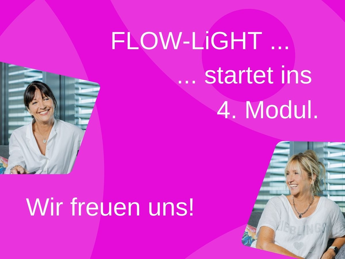 4. modul flow light